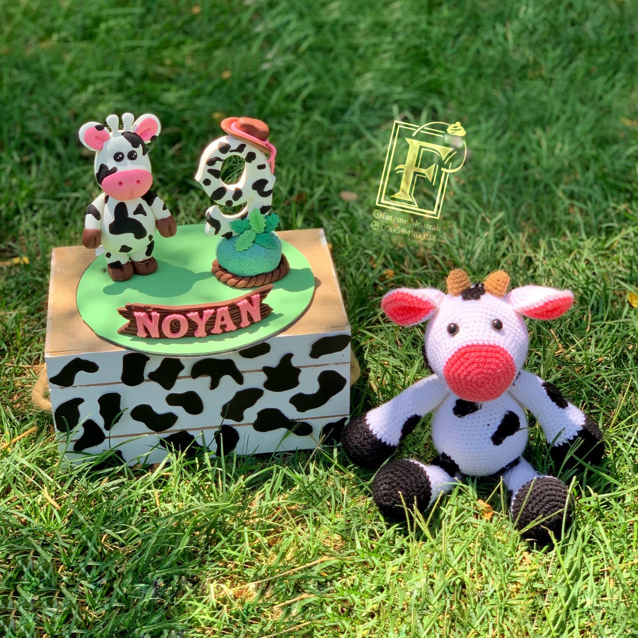 نه ماهگی نوزاد نویان ناصری