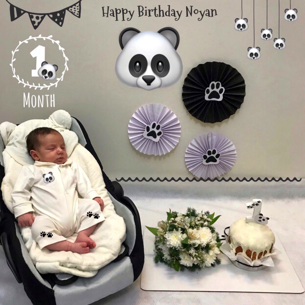 ایده نویان ناصری