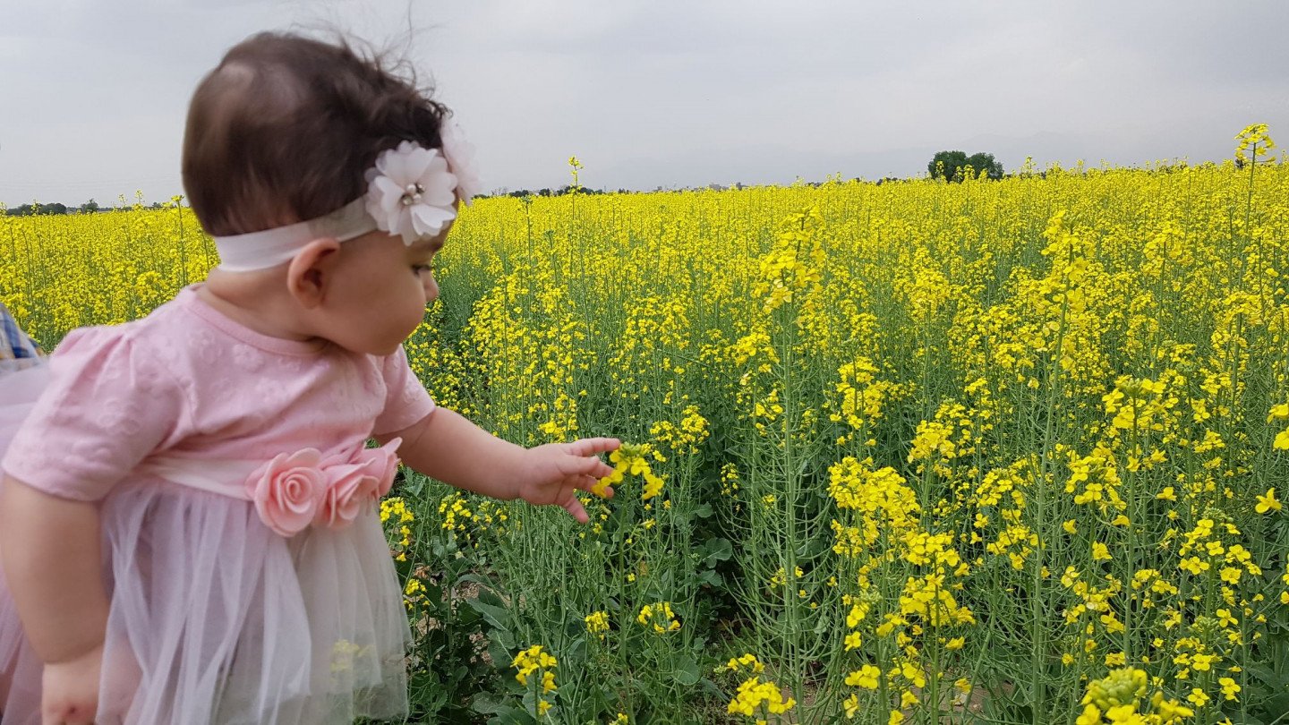 تم عکس بهاری کودک دلسا ذنونی واحد