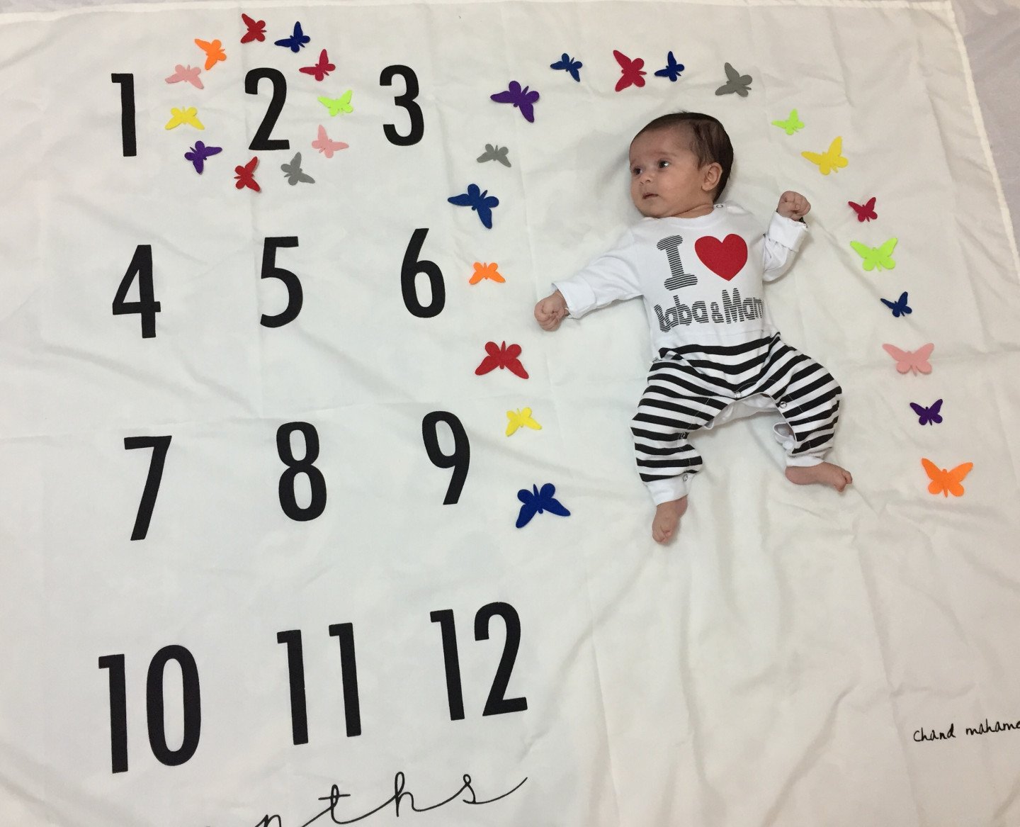 تم-و-تزیینات-نمدی-25237