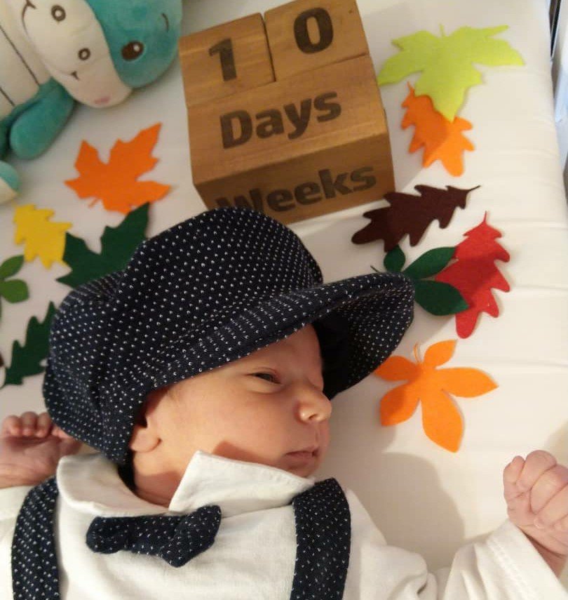 تم-و-تزیینات-نمدی-طرح-گل-و-برگ-22531