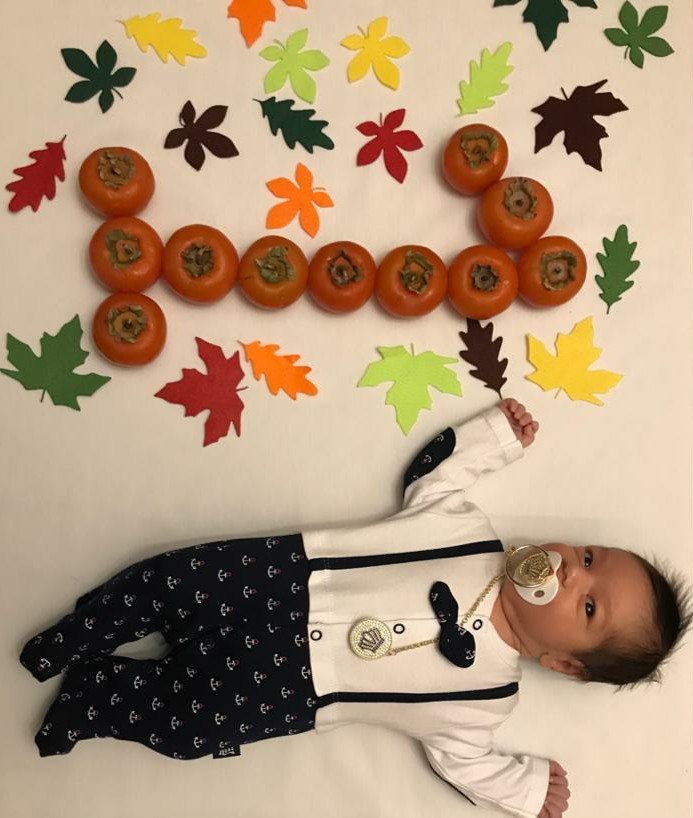 تم و تزیینات نمدی طرح گل و برگ آراز محمدی