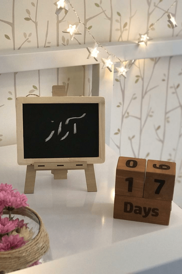 ماه نهم بارداری آراز محمدی