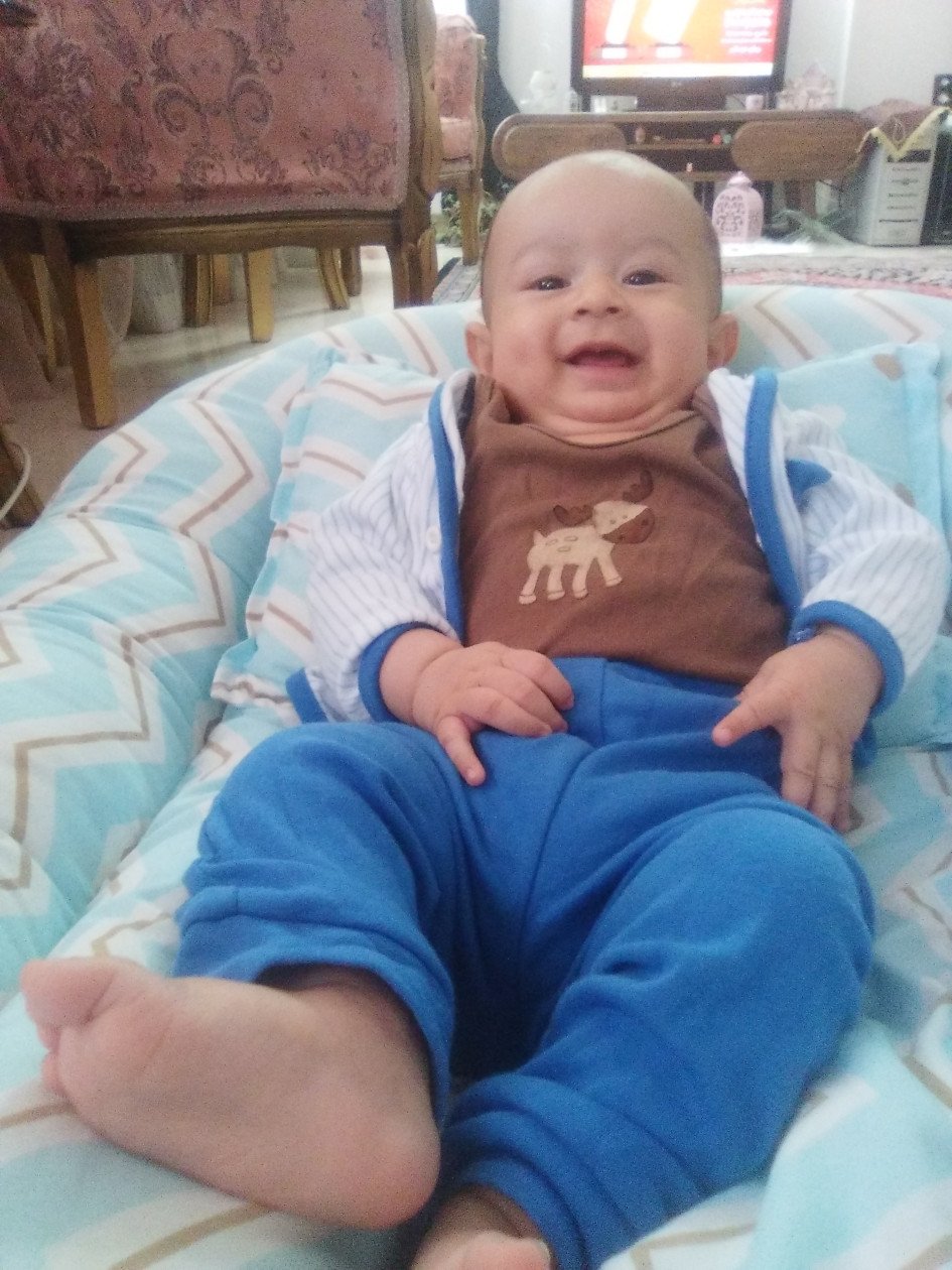 پارچه ماه شمار طرح شاخه زیتون بهامین ربیعی