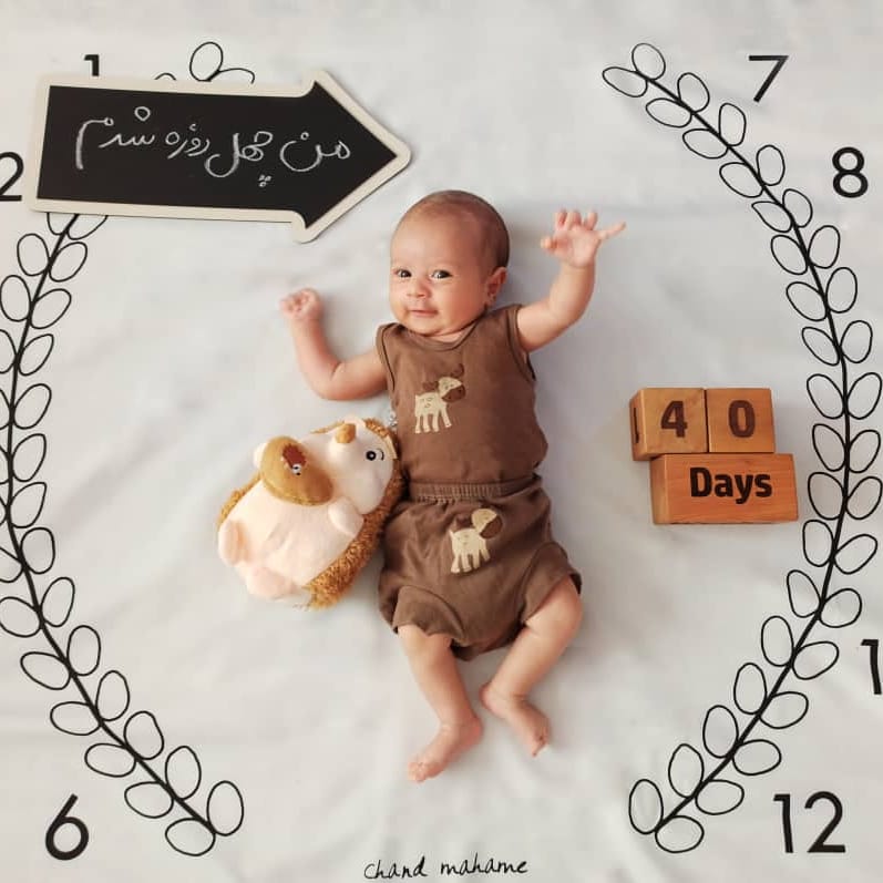 پارچه ماه شمار طرح شاخه زیتون بهامین ربیعی