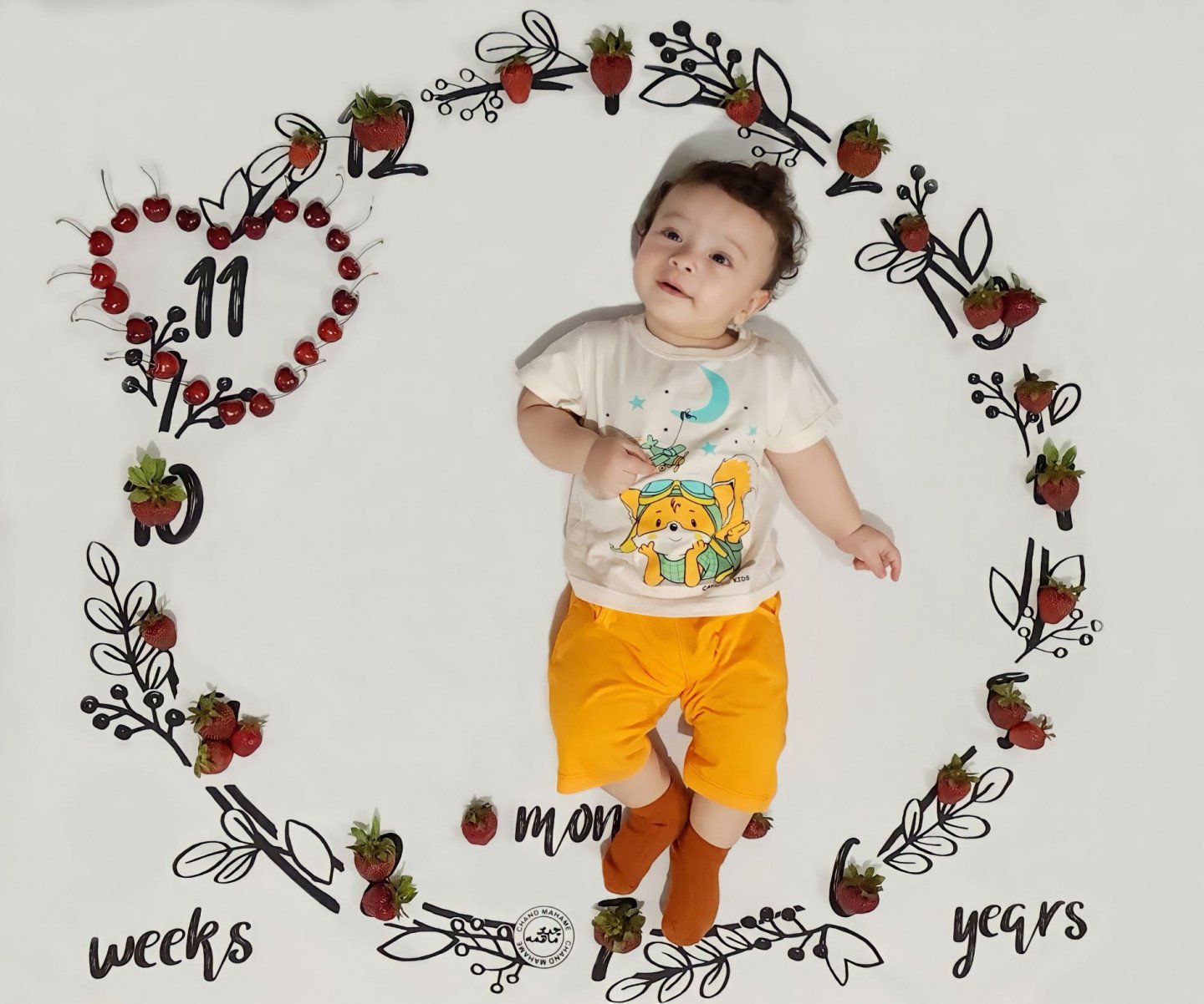 پارچه ماهگرد طرح حلقه تمشک امیرعلی محمدی