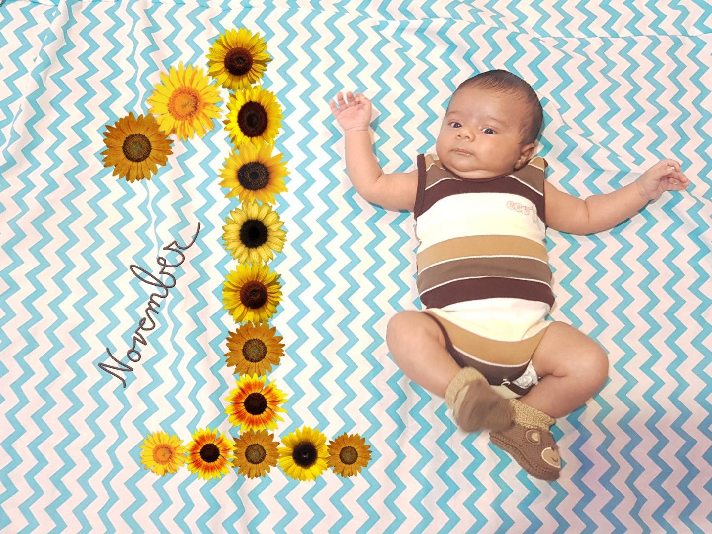 یک ماهگی نوزاد آراز تنهای