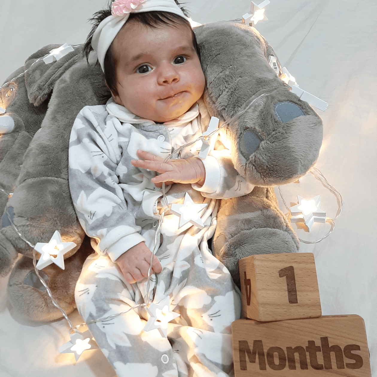 ریسه-تزئینی-21834