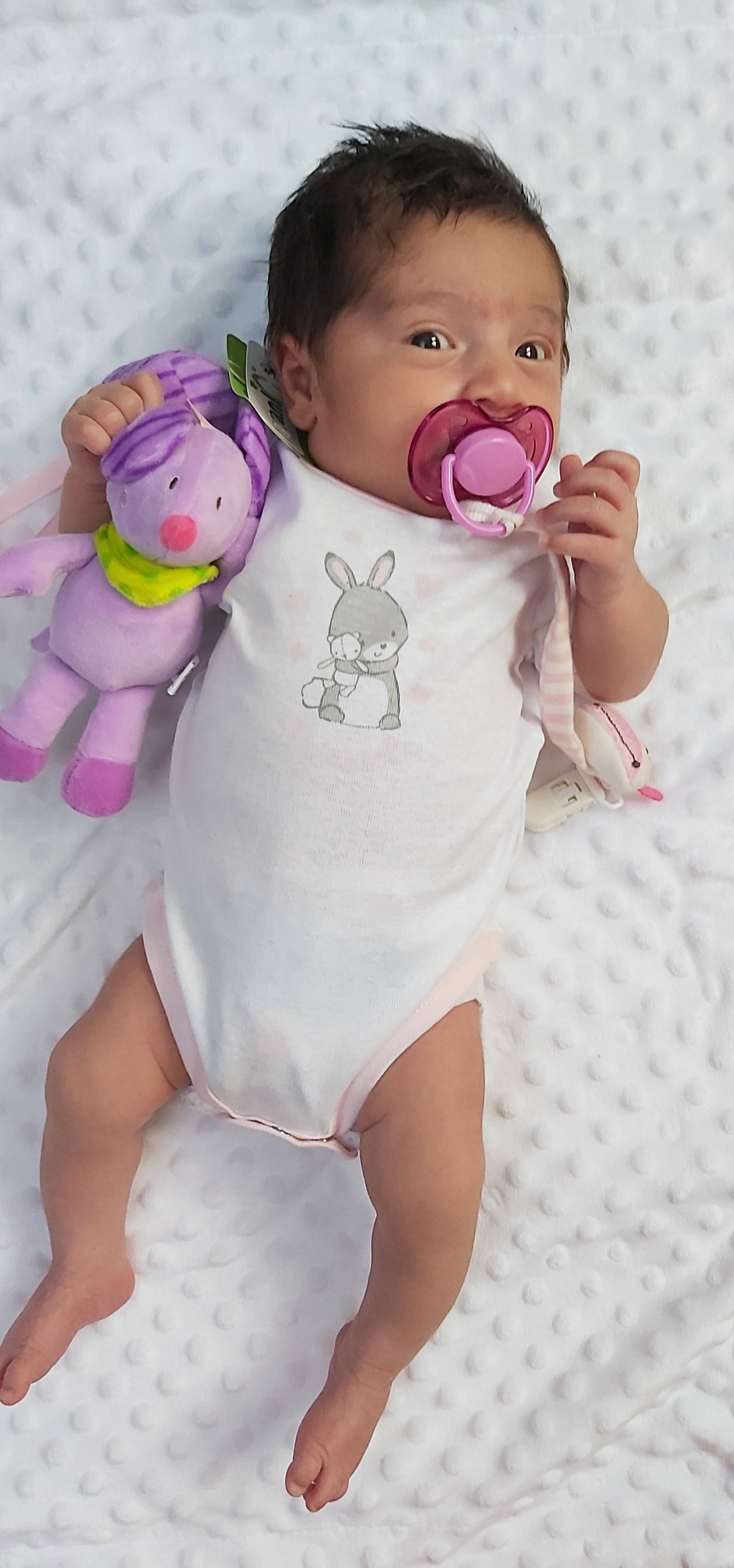 متولد شدن نوزاد ملورین پاشایی