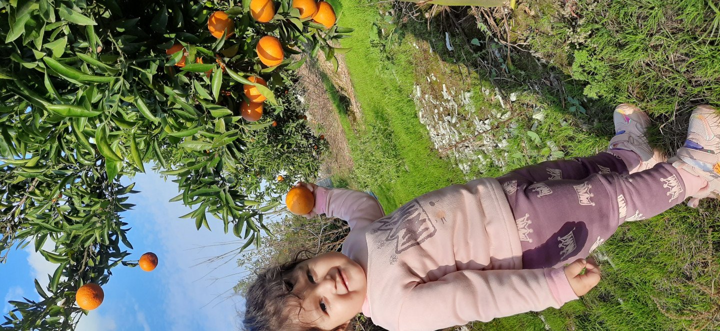 بیست ماهگی کودک آنیسا مرزبان