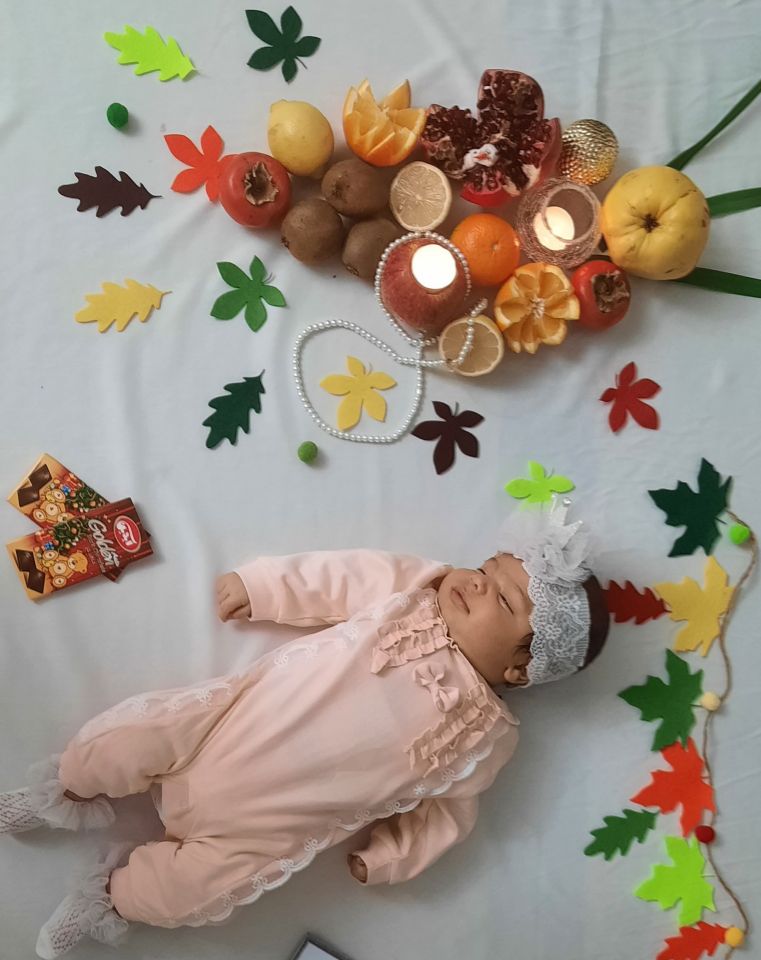 تم-و-تزیینات-نمدی-طرح-گل-و-برگ-26458