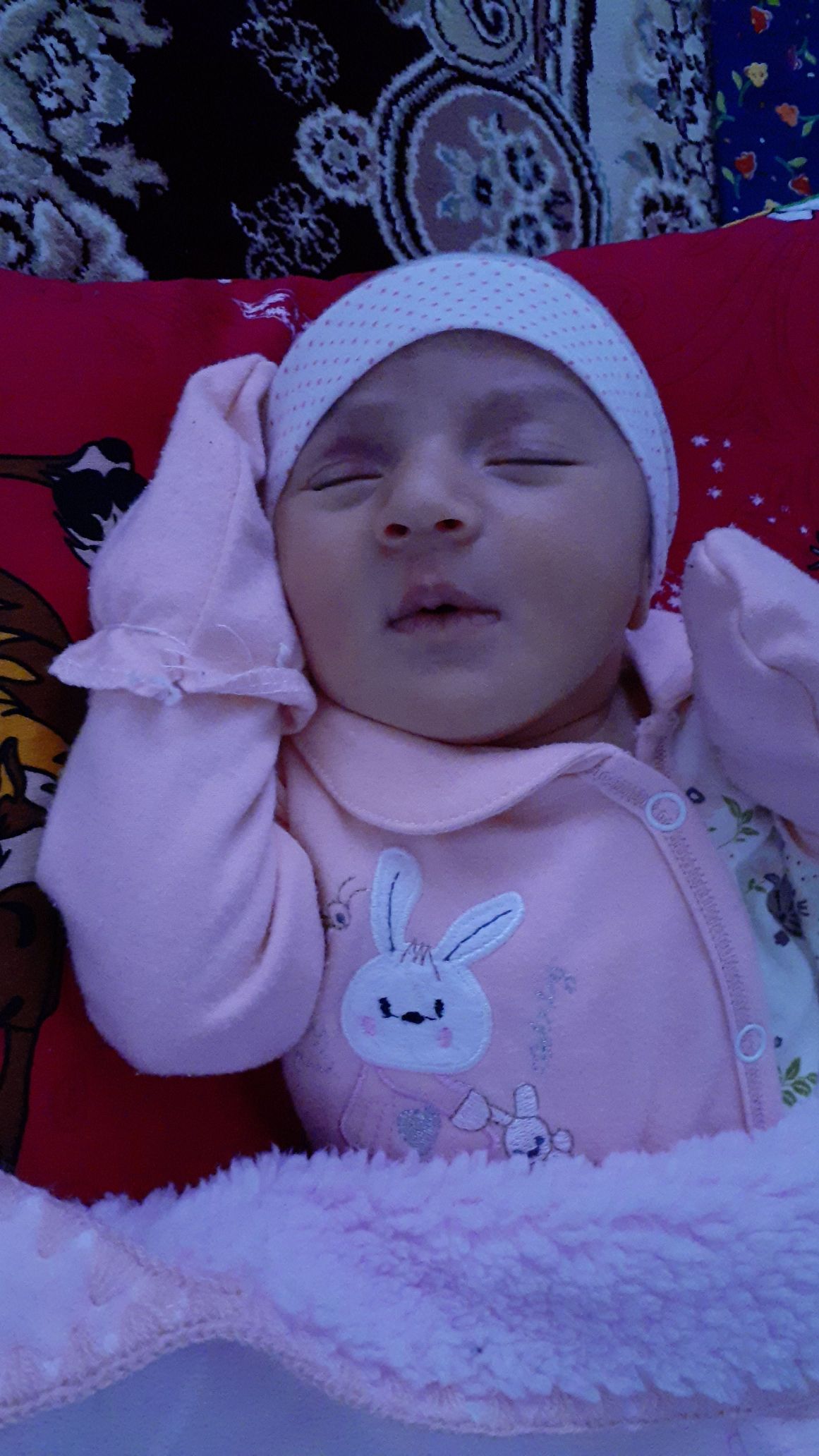 لالا کردنم اسرا کرمی