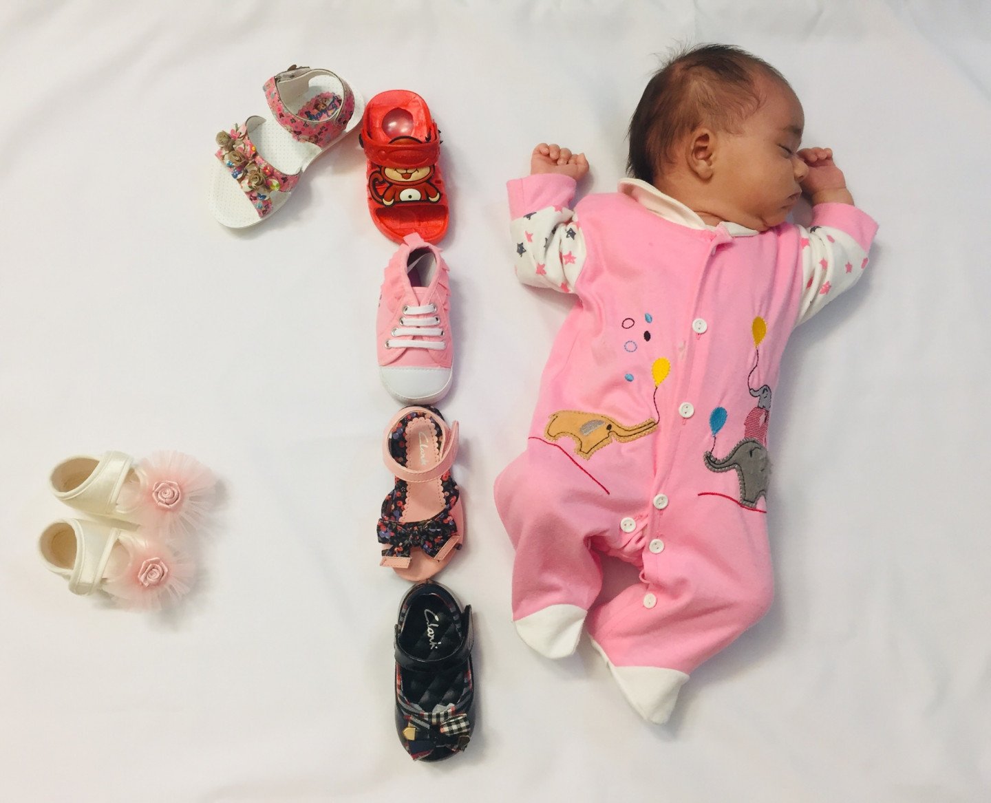 یک ماهگی نوزاد دلوین قربانی