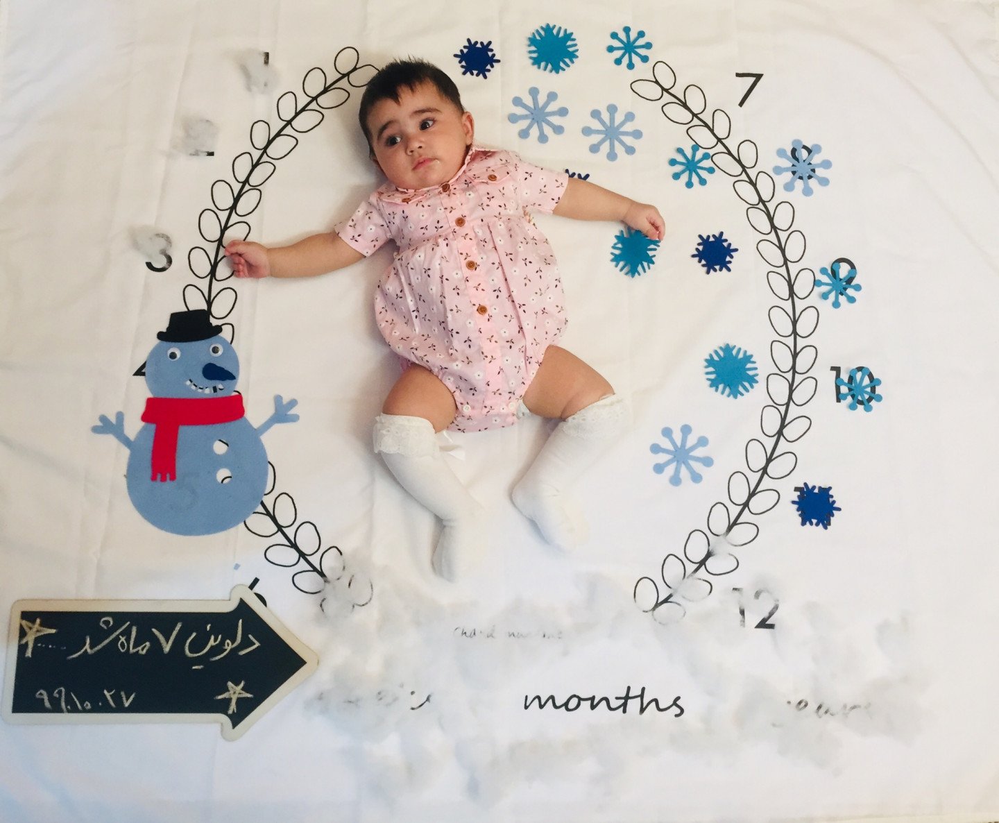 تم عکس زمستانی نوزاد دلوین قربانی