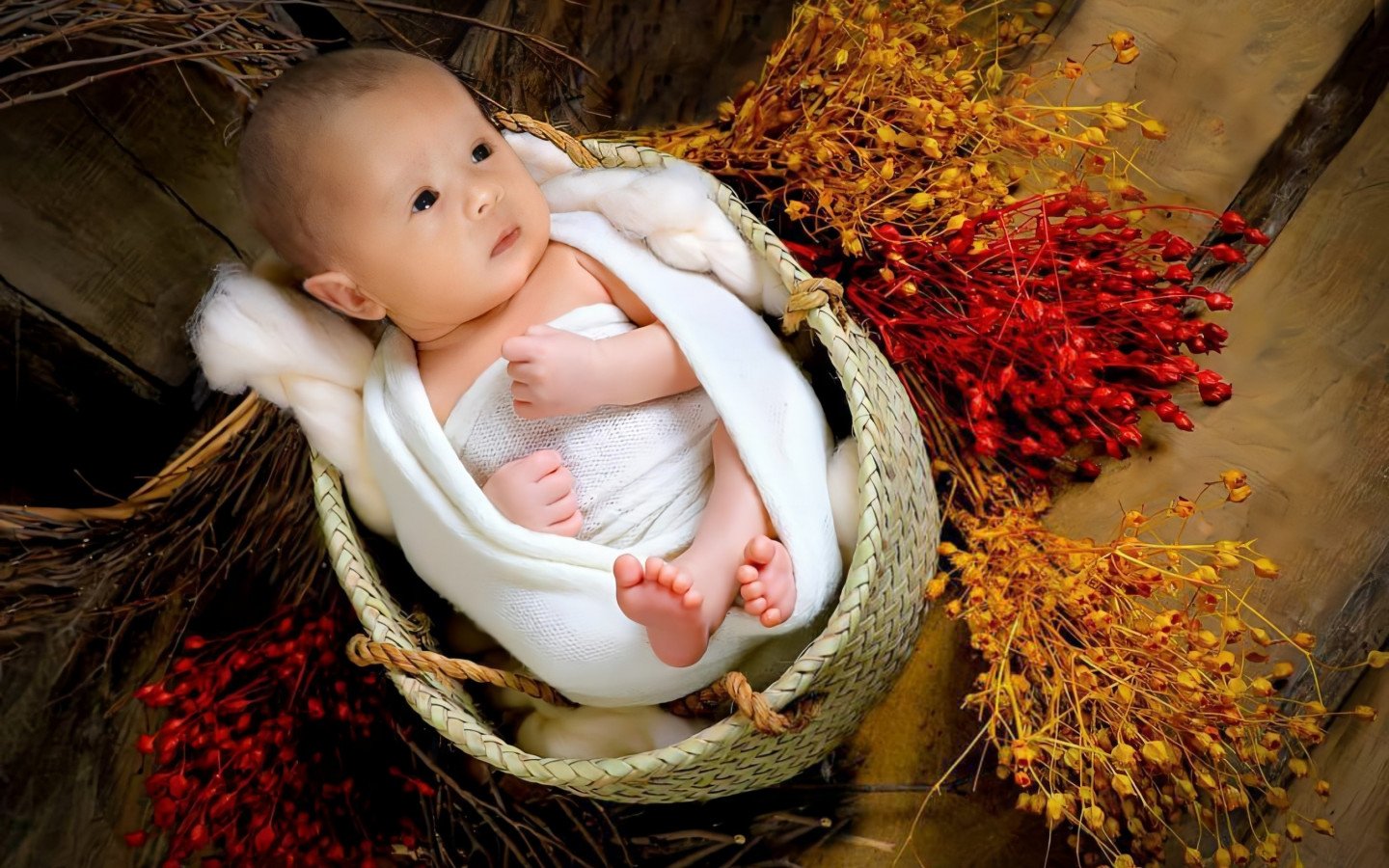 یک ماهگی نوزاد آیهان قلیان