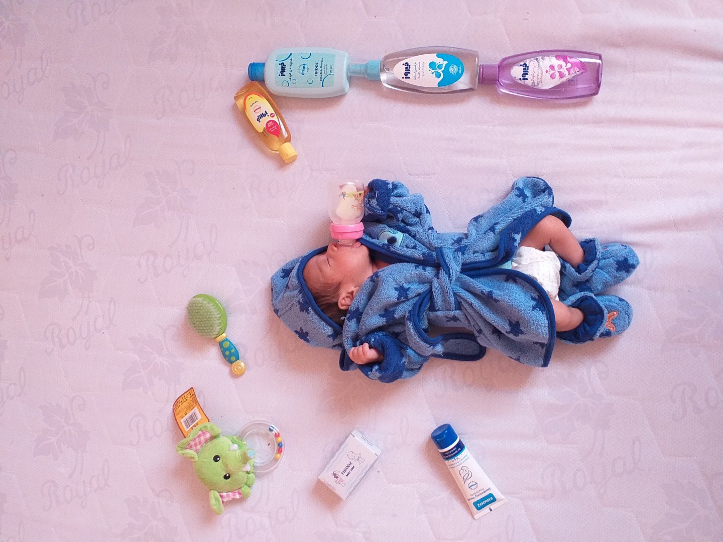 عکس سیزده بدر علیسام پورخلفیان