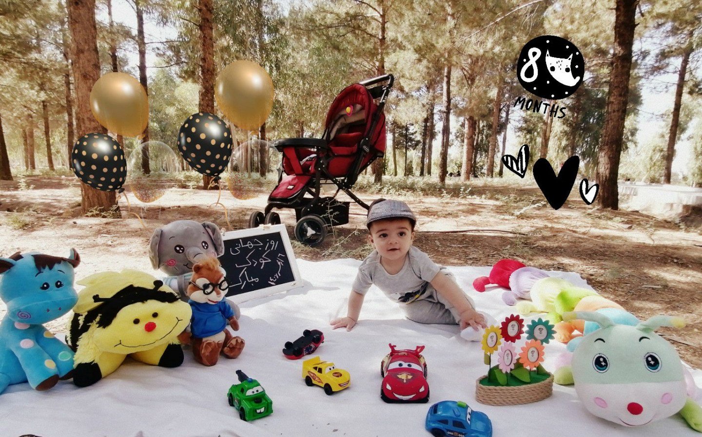 محصول محمد مهدی