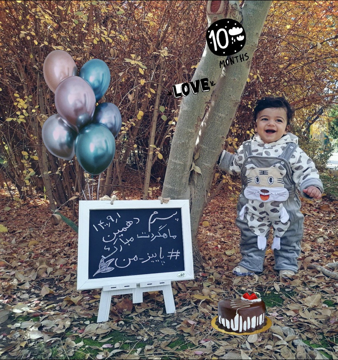 محصول محمد مهدی