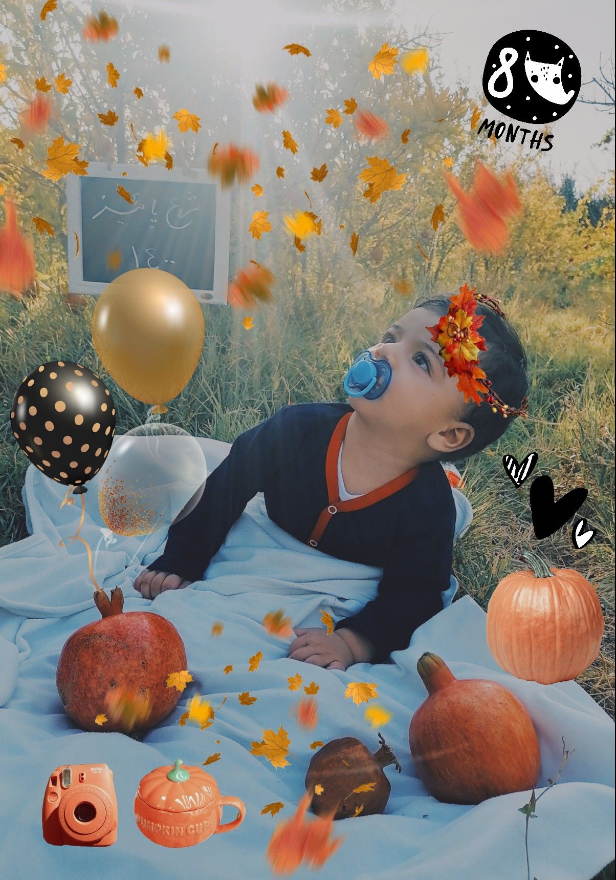 تم عکس پاییزی نوزاد محمد مهدی