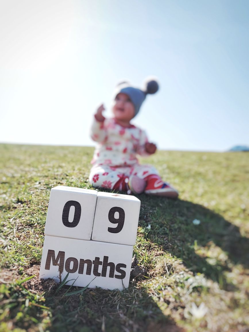 عید نوروز نورا عزیزی