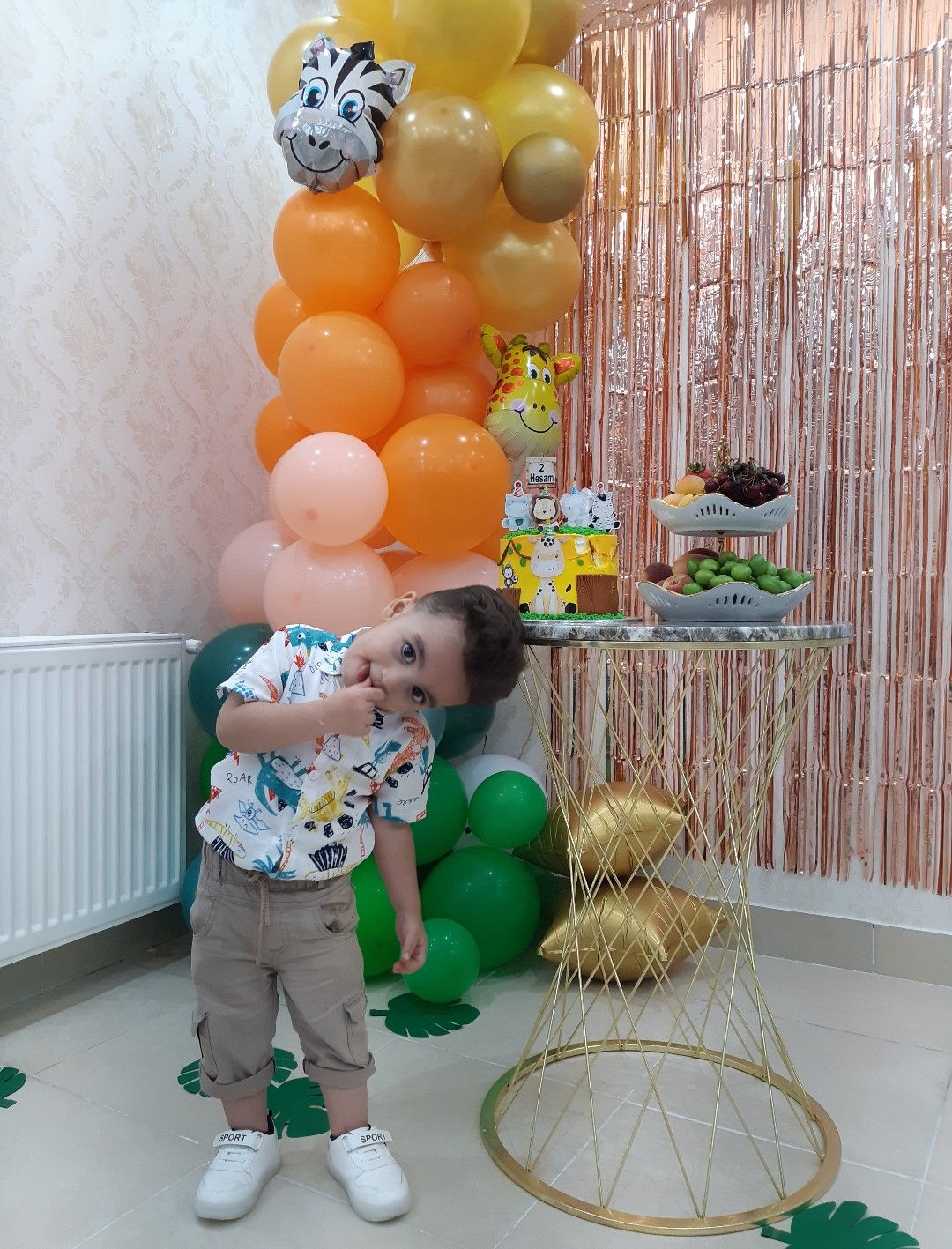 حسام امیرحسام پورقاسمی