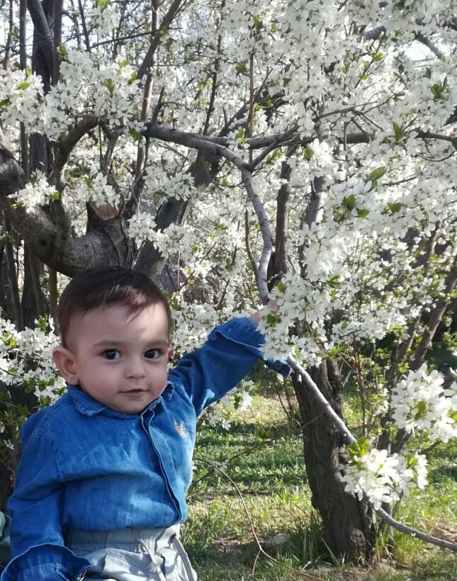 ایستادن نوزاد barbod pazoki