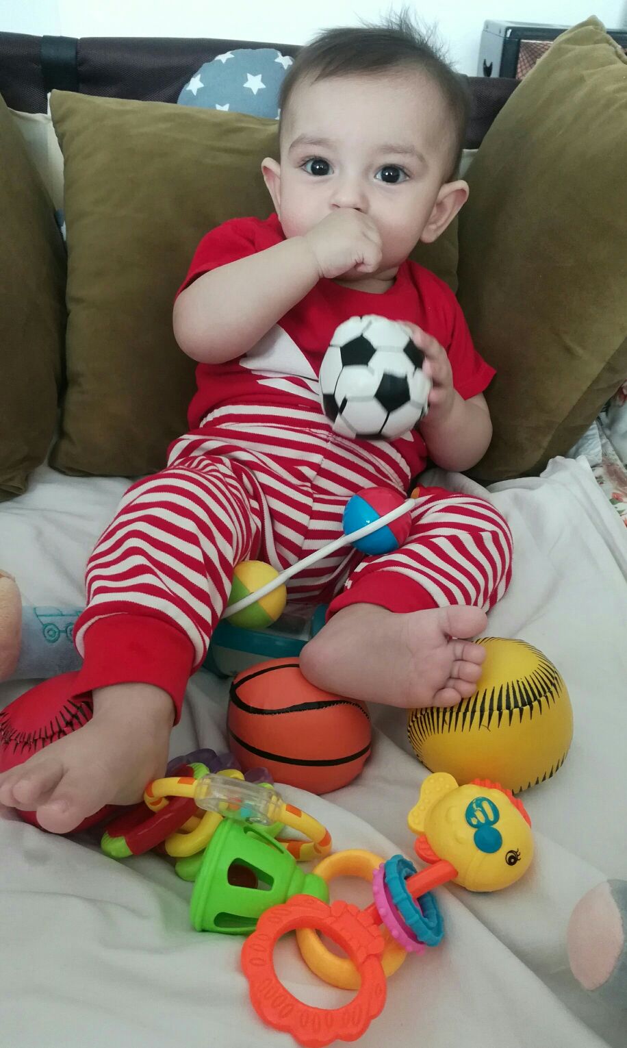 هشت ماهگی نوزاد barbod pazoki