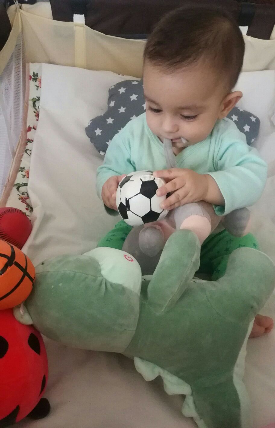 هشت ماهگی نوزاد barbod pazoki