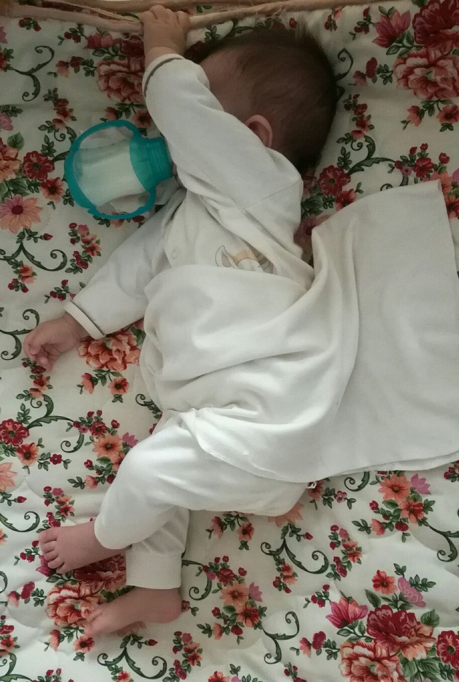 هشت ماهگی نوزاد barbod pazoki