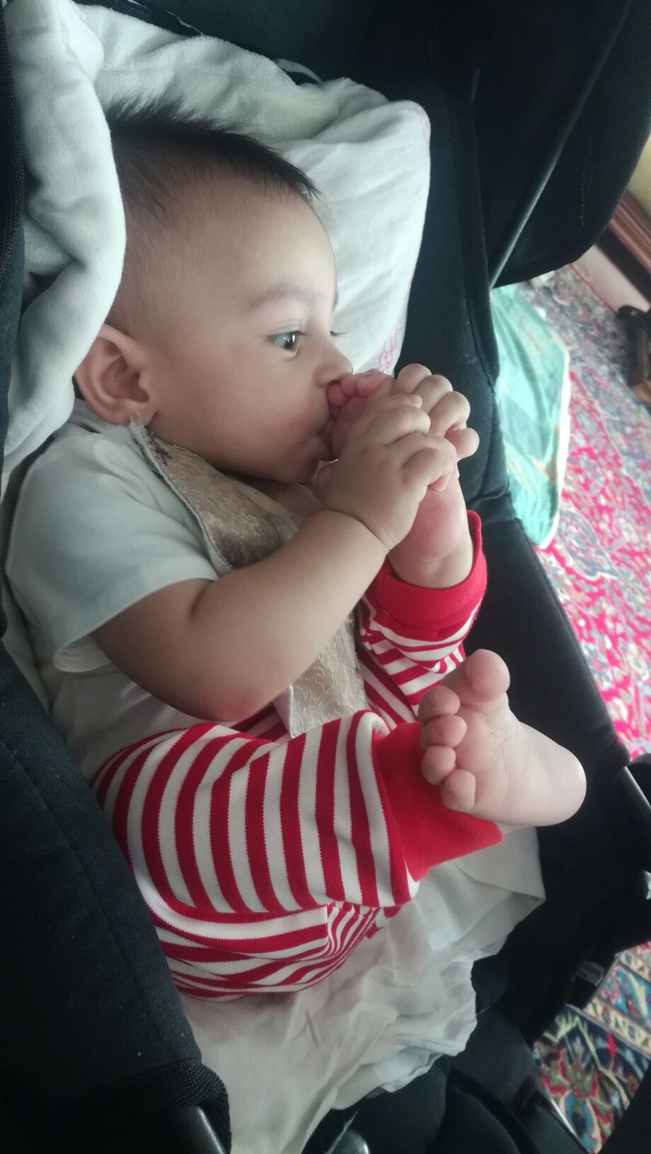 هشت ماهگی نوزاد barbod pazoki