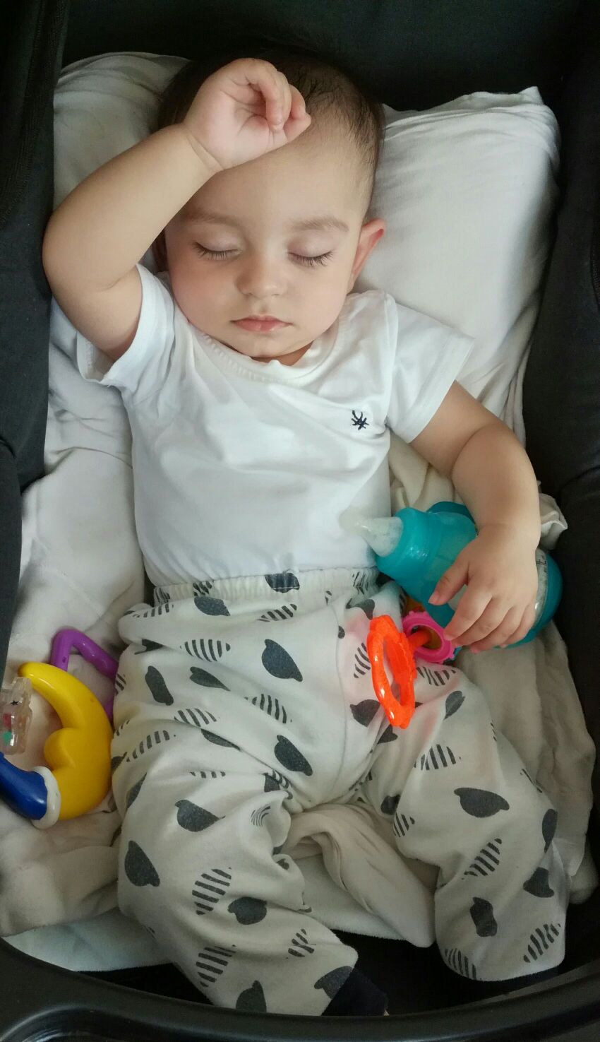 هشت ماهگی نوزاد barbod pazoki