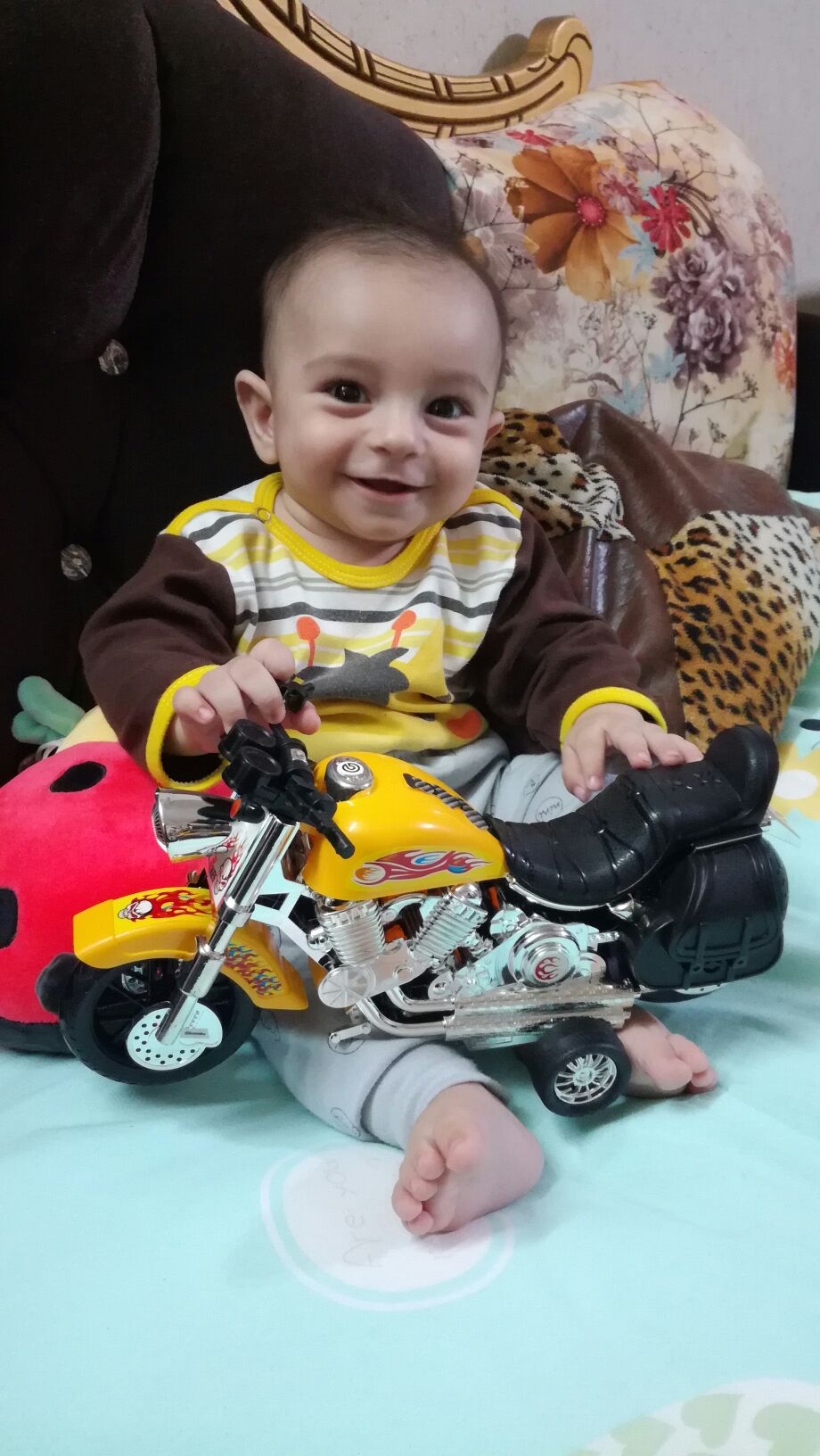 هفت ماهگی نوزاد barbod pazoki