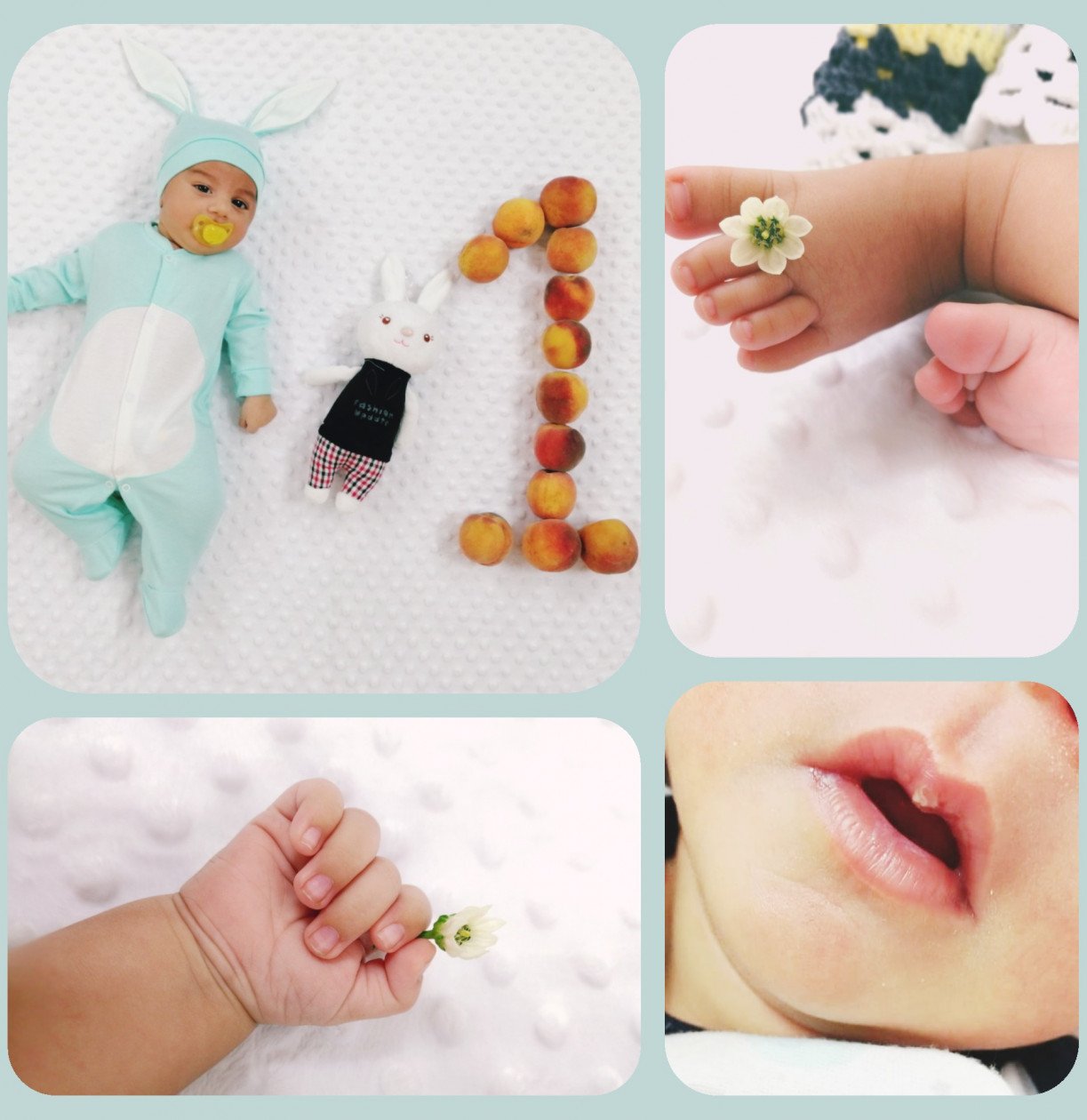 یک ماهگی نوزاد علیسان کمالی