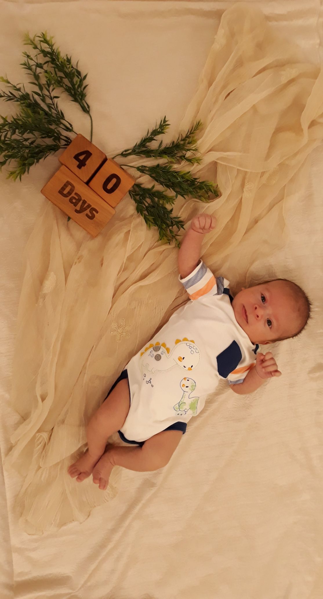 چهل روزگی شاهان علی فتاح پور