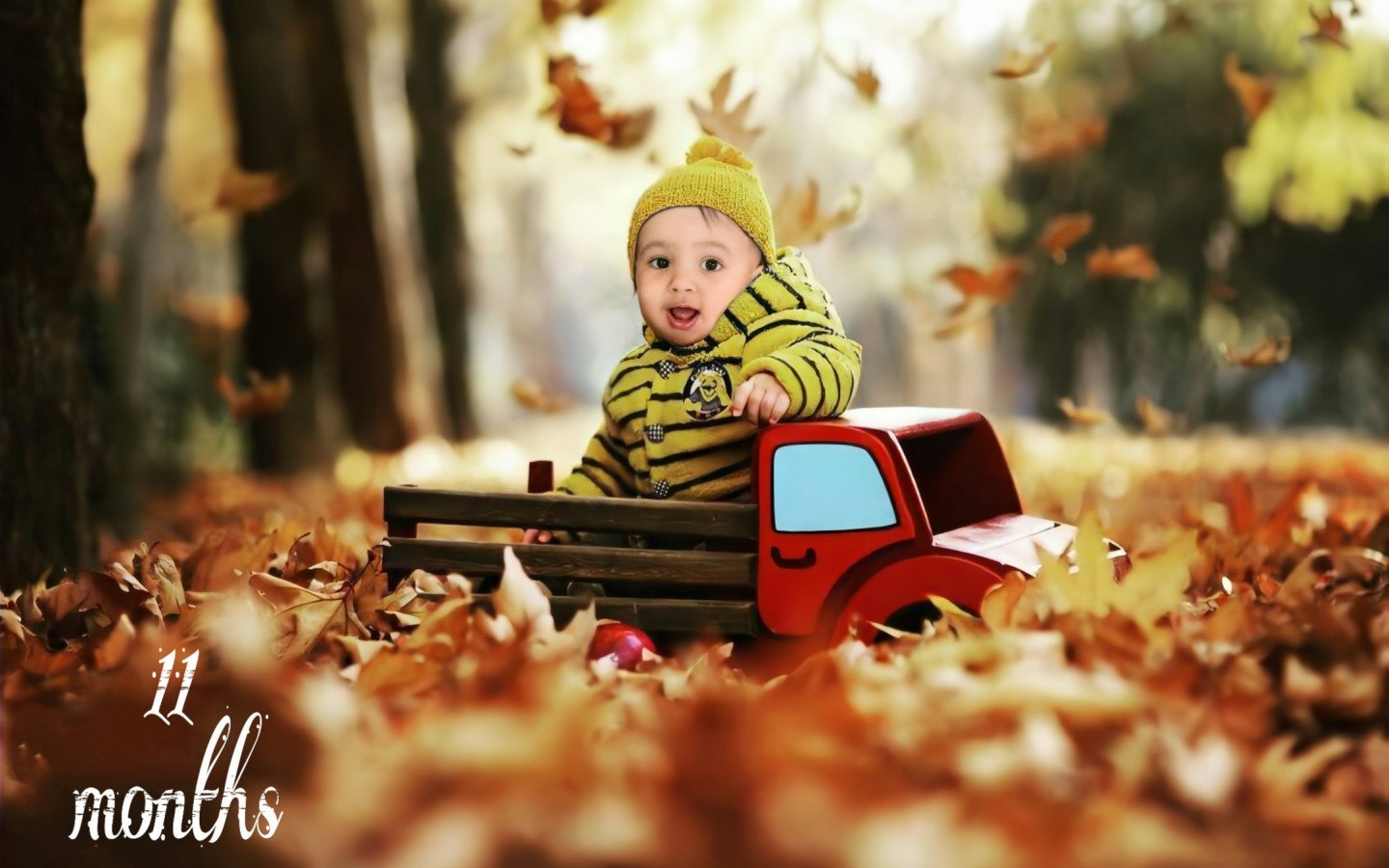 یازده ماهگی نوزاد ارشام عرب