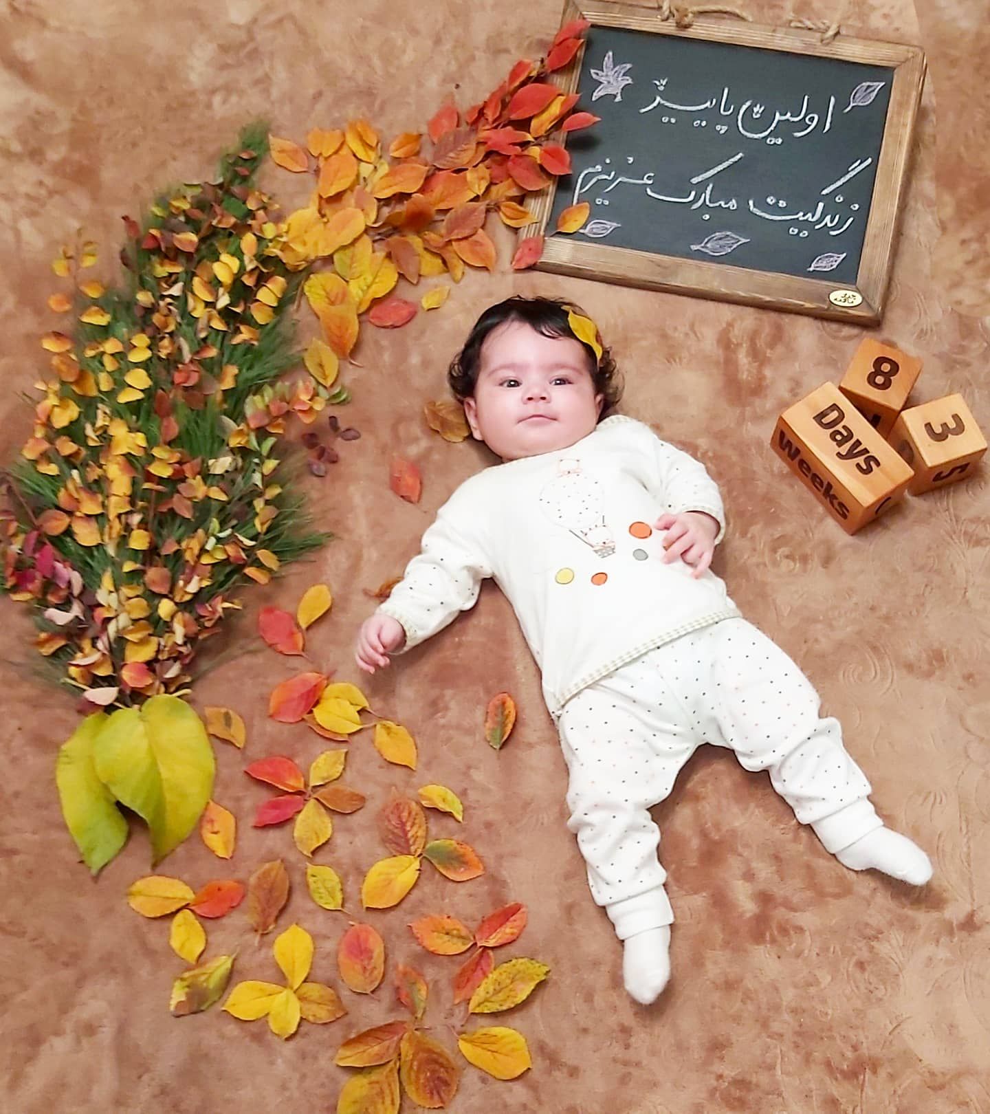 مکعب تاریخ شمار ویژه حلما حبیبی