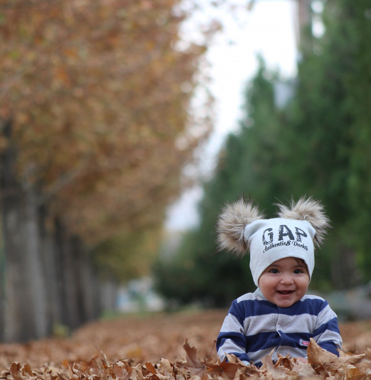 تم عکس پاییزی نوزاد آیهان راد