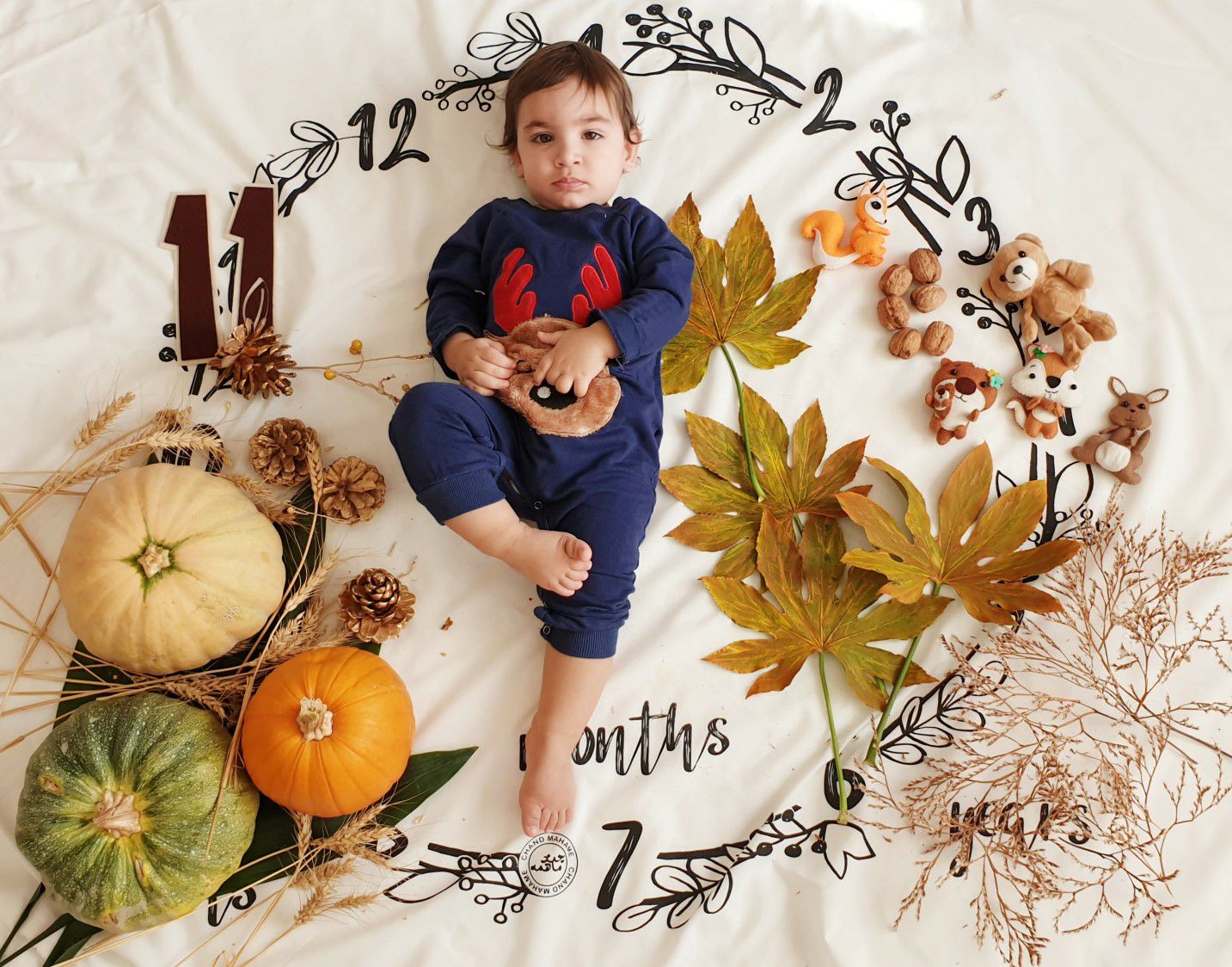 یازده ماهگی نوزاد لاوین سلیمیان