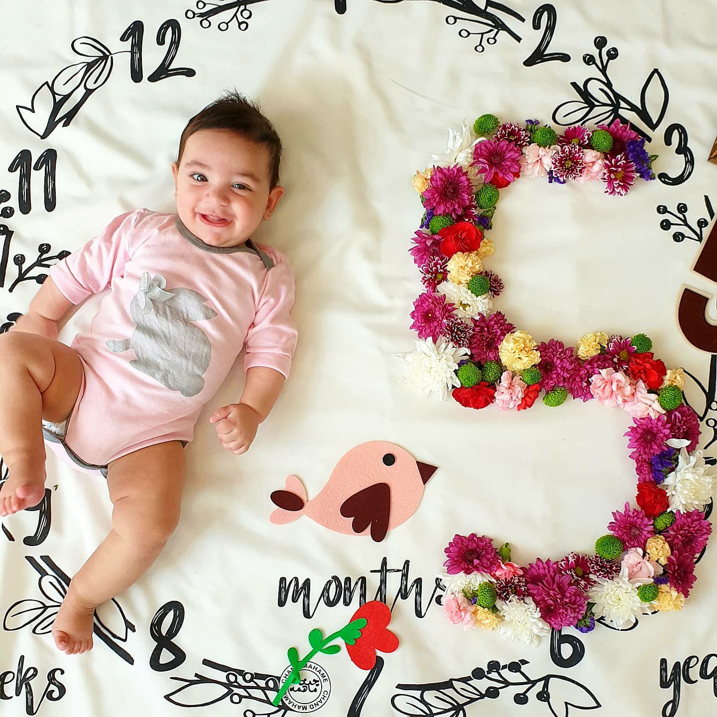 تم عکس بهاری کودک لاوین سلیمیان