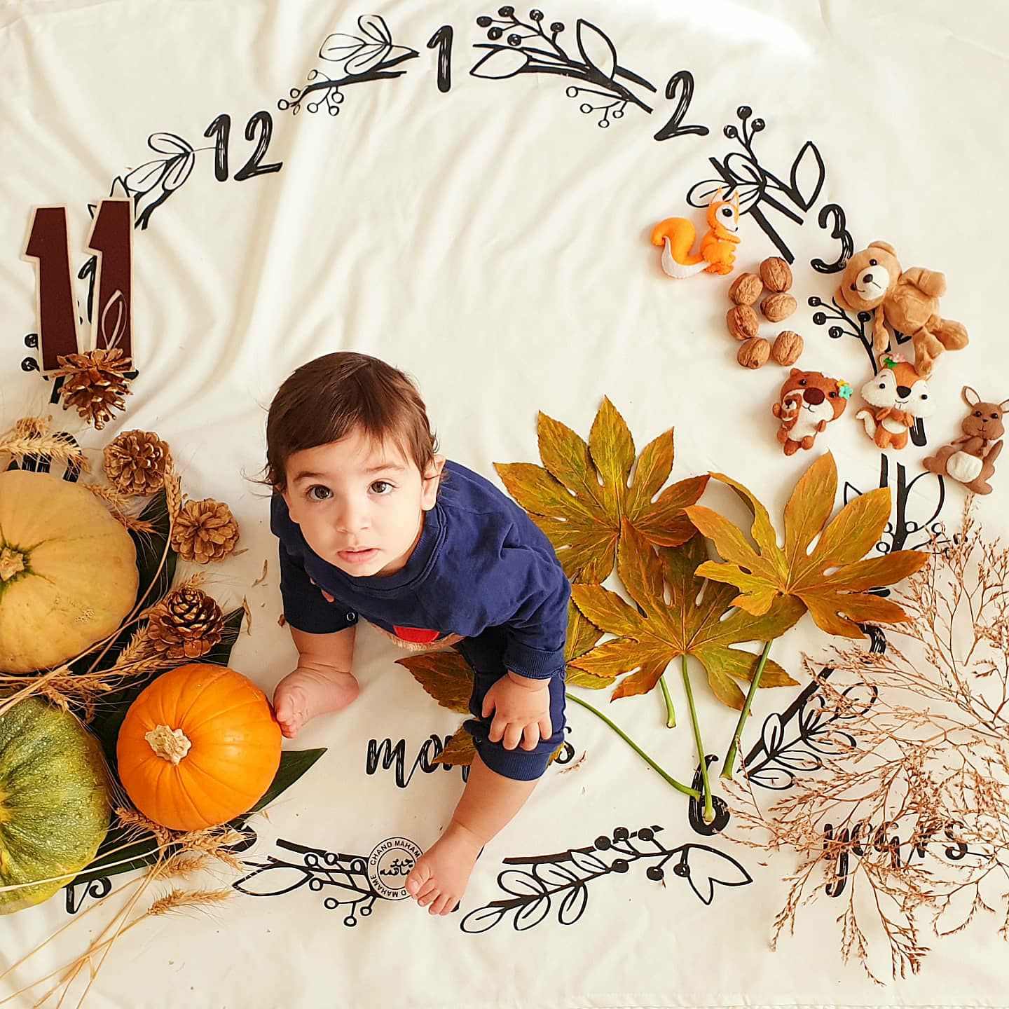 یازده ماهگی نوزاد لاوین سلیمیان