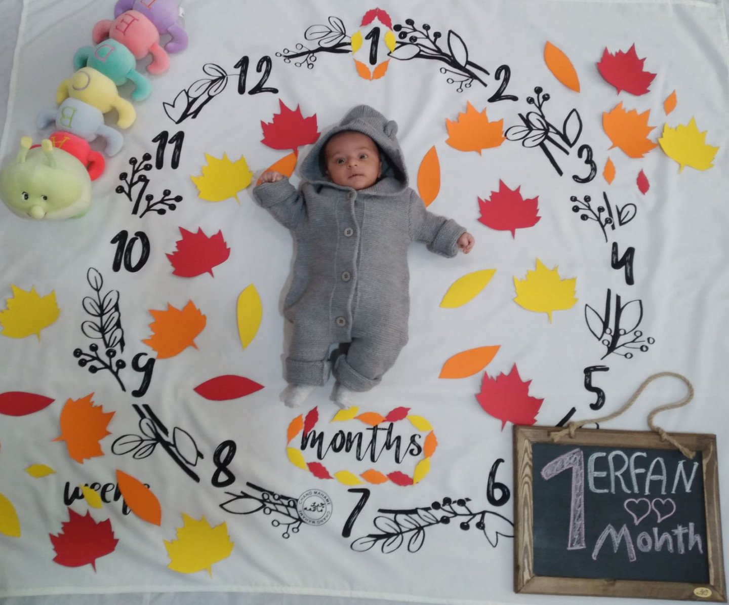 یک ماهگی نوزاد عرفان حسامی