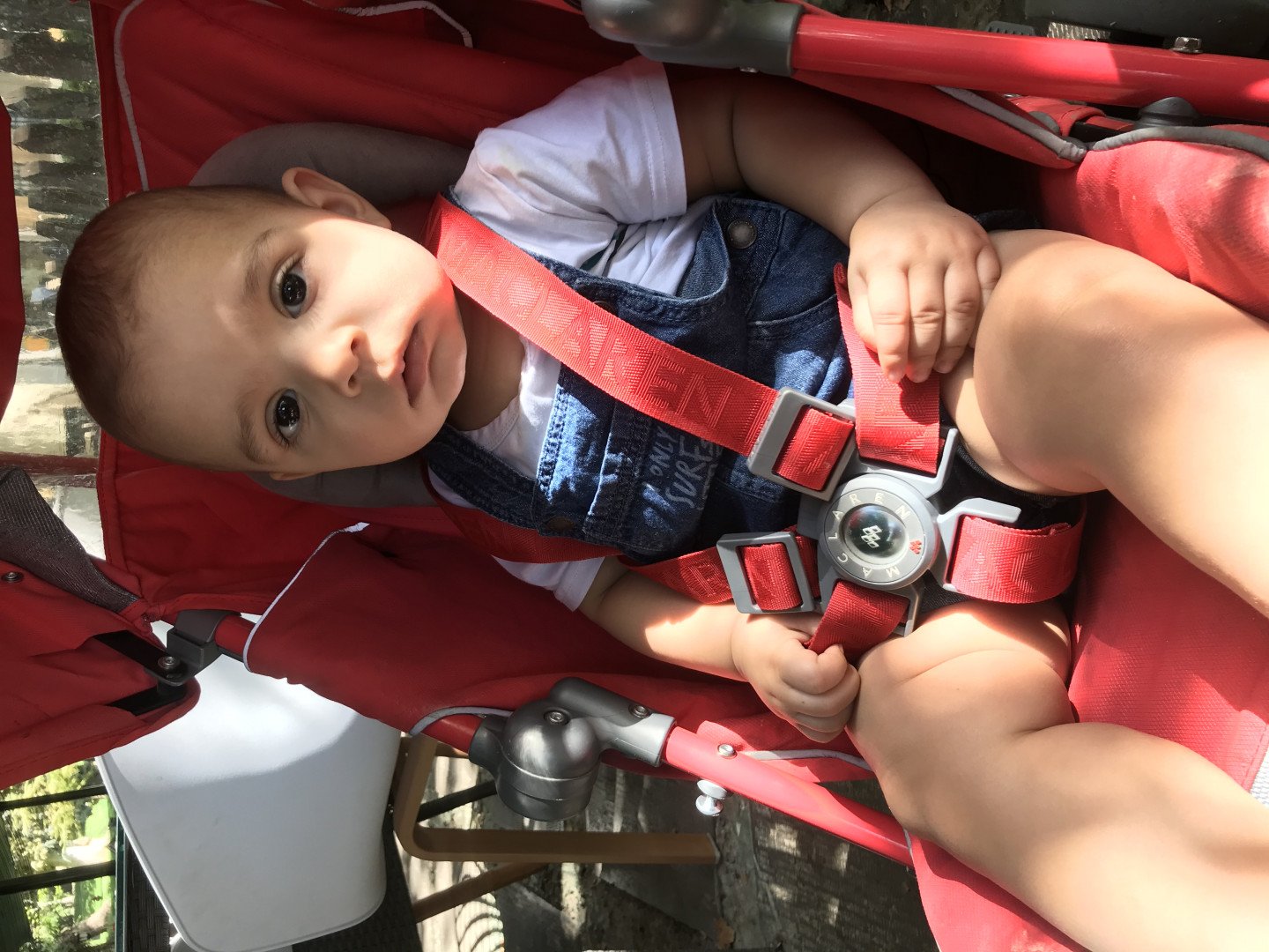 نه ماهگی نوزاد سورن لباني