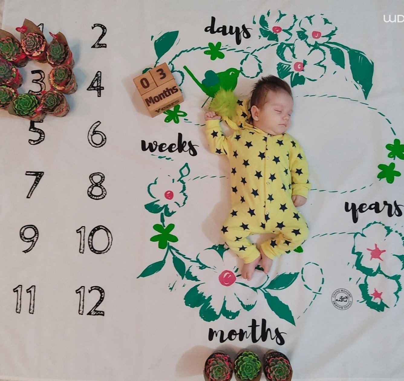 تم عکس زمستانی نوزاد ماهان بایرام زاده