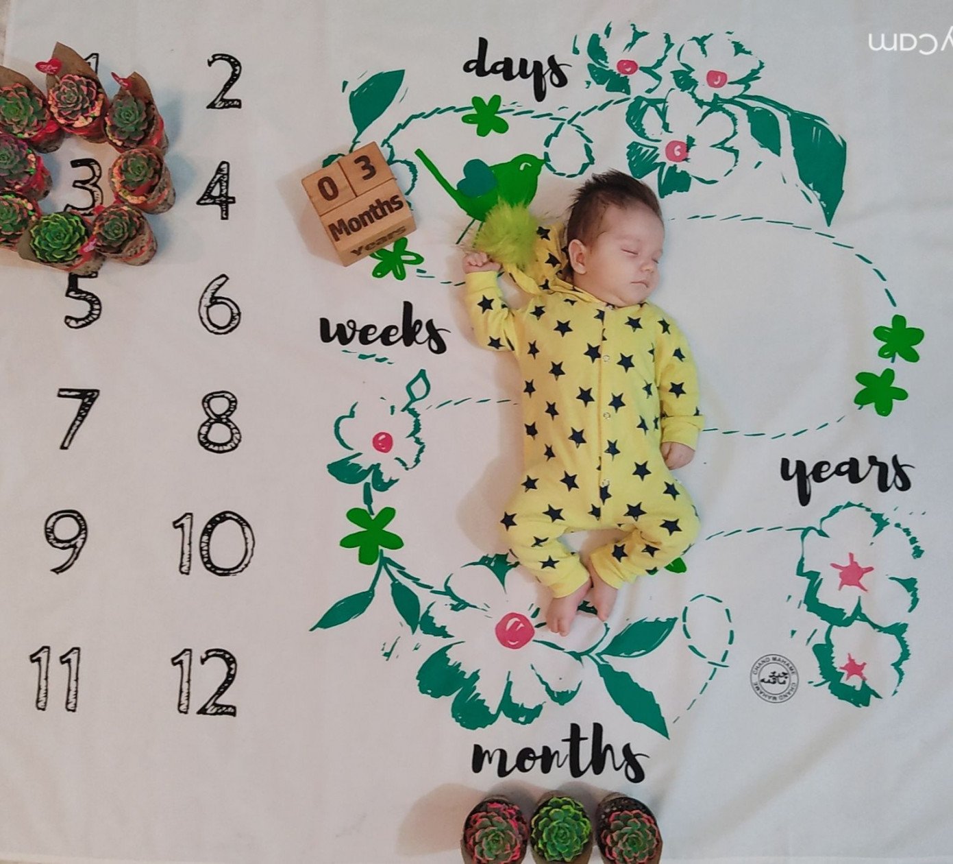 سه ماهگی نوزاد ماهان بایرام زاده