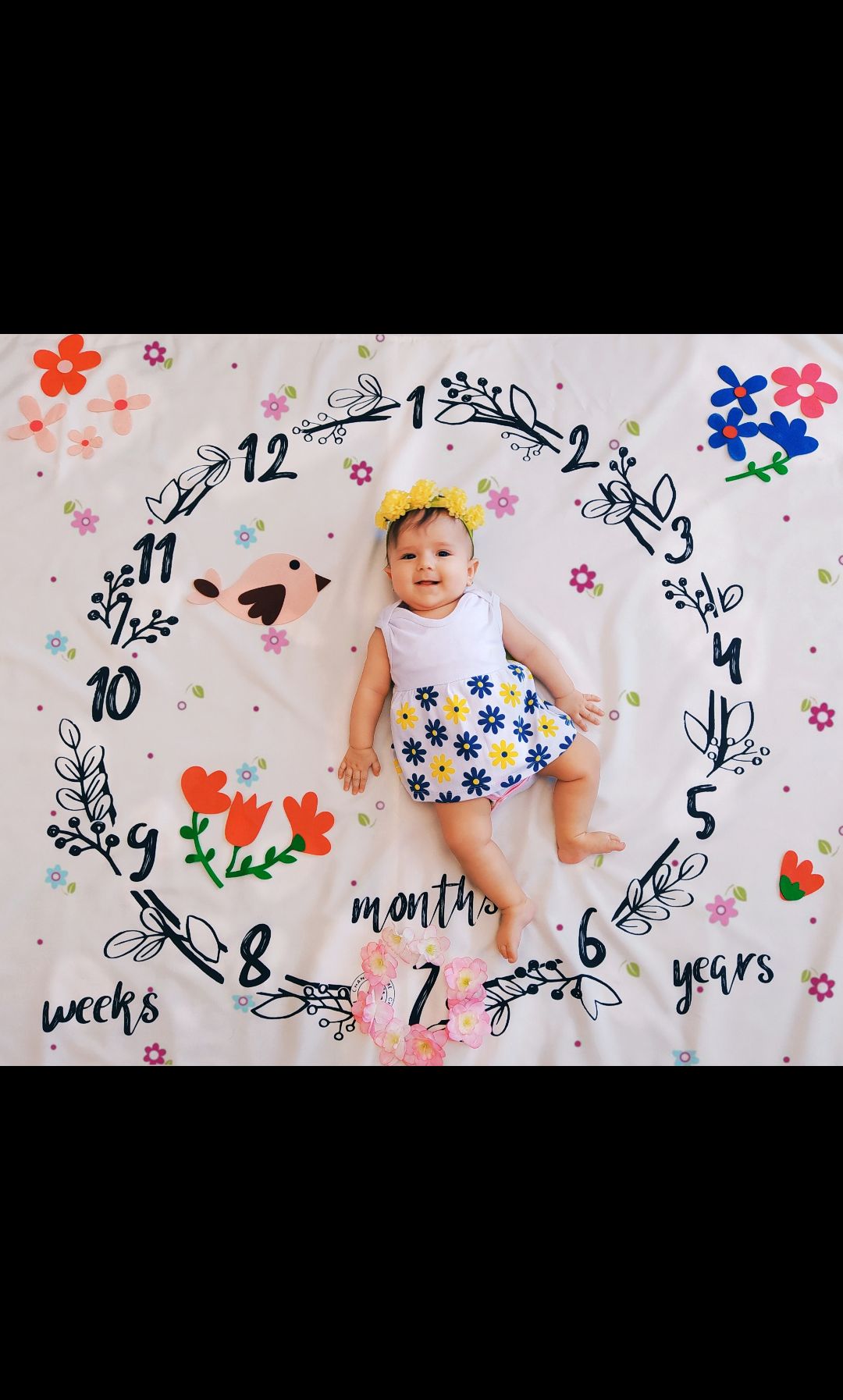 تم-عکاسی-گل-و-بلبل-38089