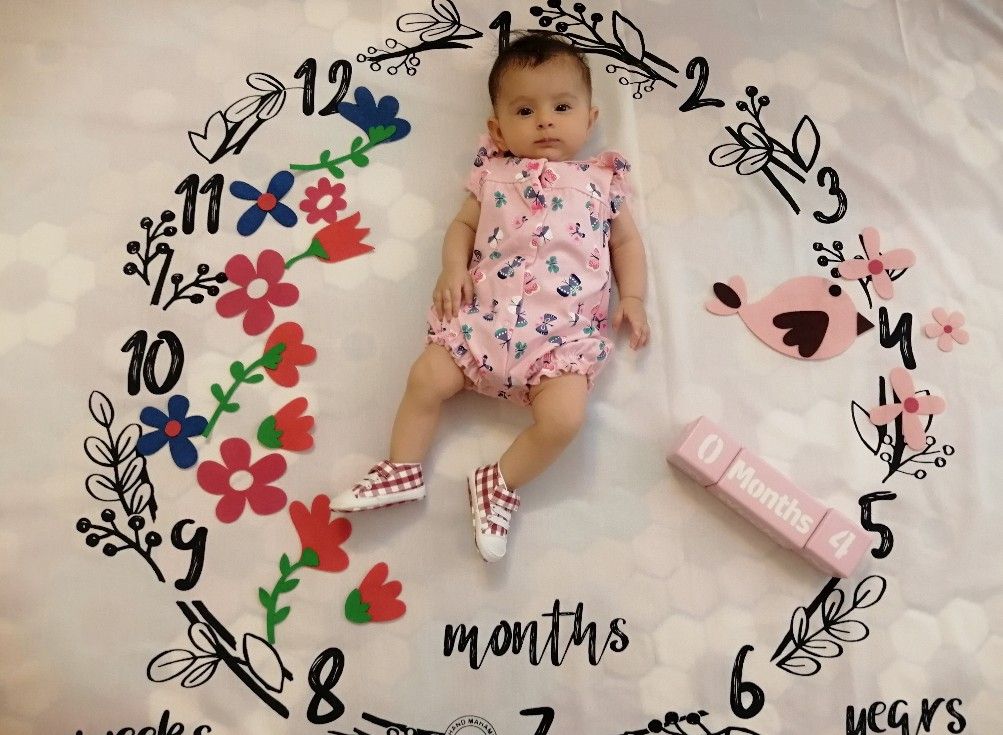 تم-عکاسی-گل-و-بلبل-40537