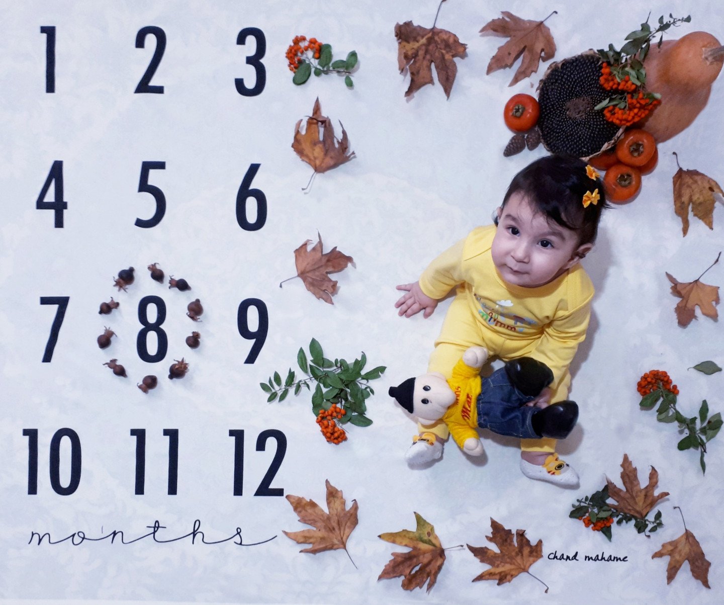 هشت ماهگی نوزاد هانا رسولی