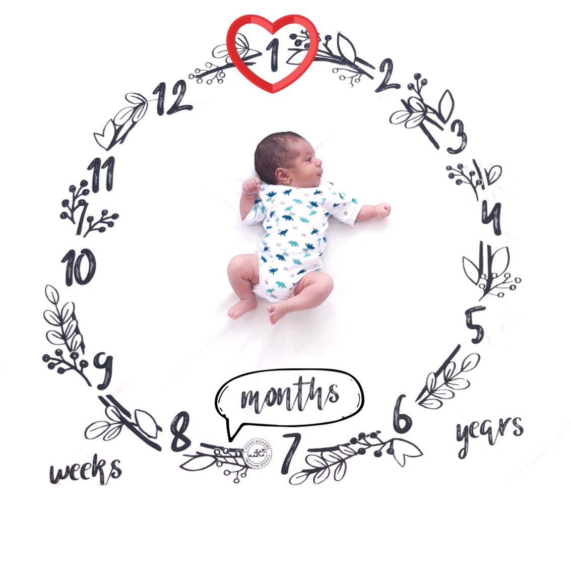 یک ماهگی نوزاد امیرحسین شریعتمداری