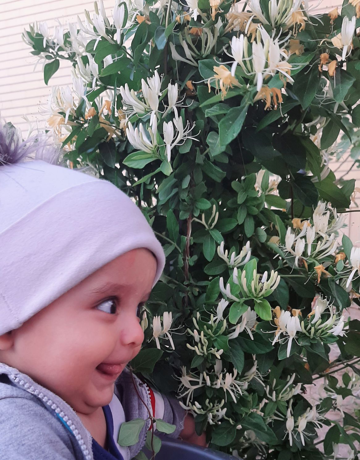 عکس سیزده بدر علی جووونم