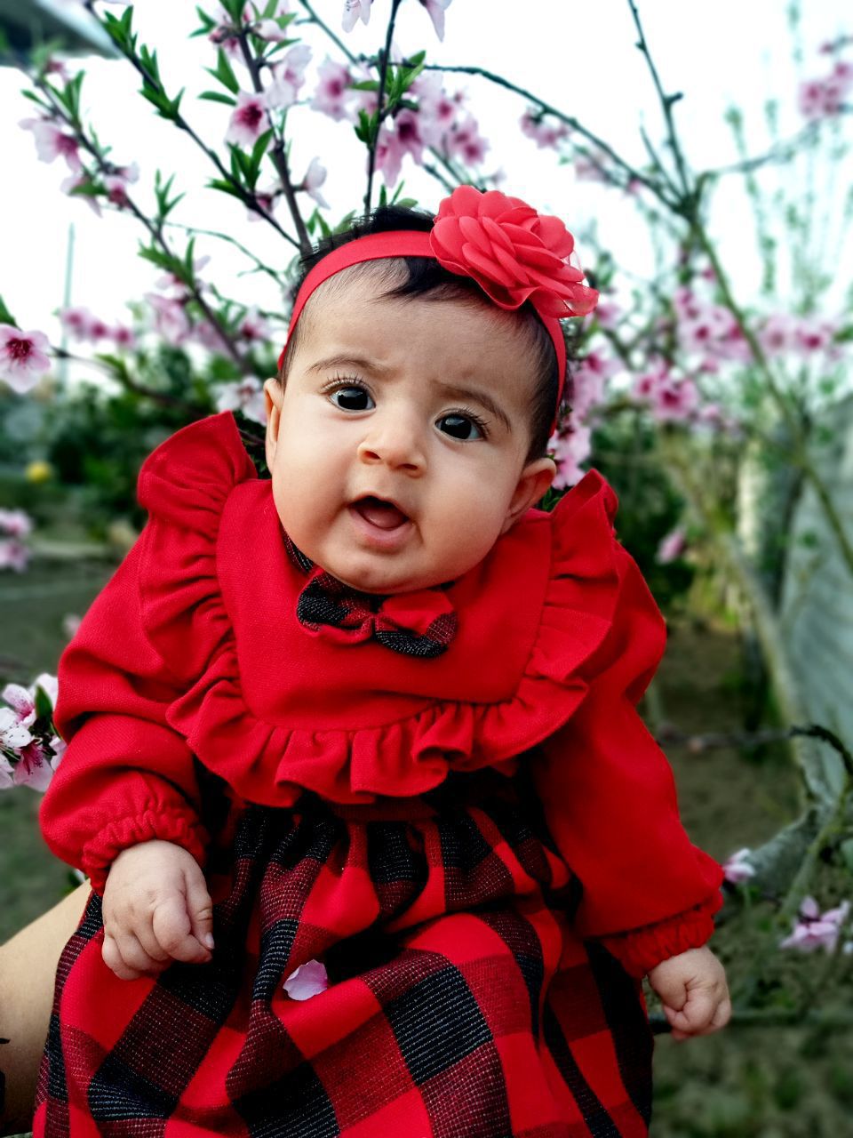 تم عکس بهاری کودک دریا ذاکری